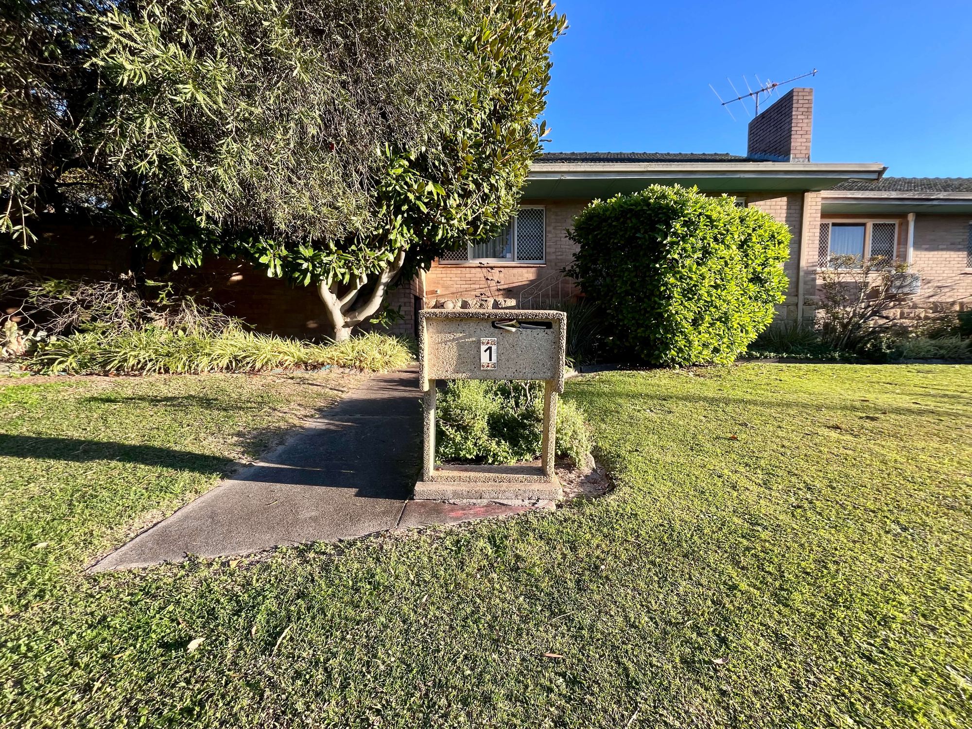 A plain concrete cube letterbox marked 1, tucked into a garden bed under a large shrub