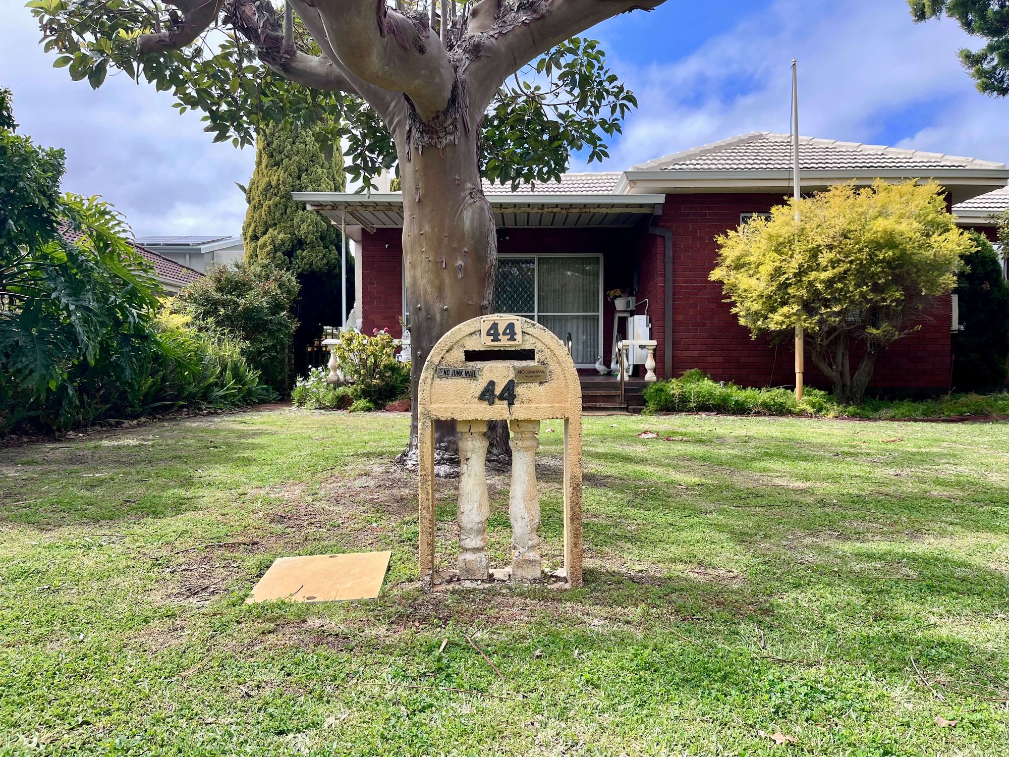 An arched cream letterbox numbered 44, standing against the trunk of a large gum tree